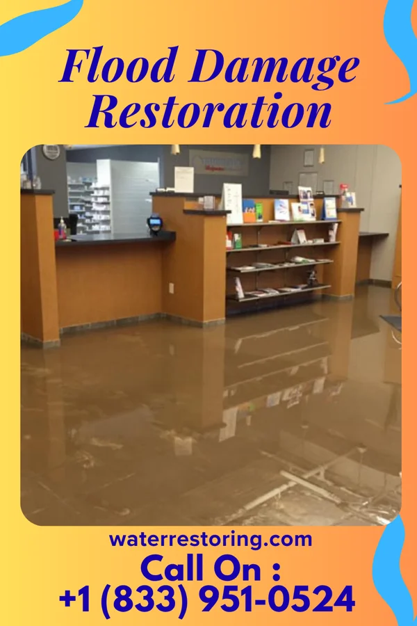 Flood Damage Restoration in Dutch Neck, NJ