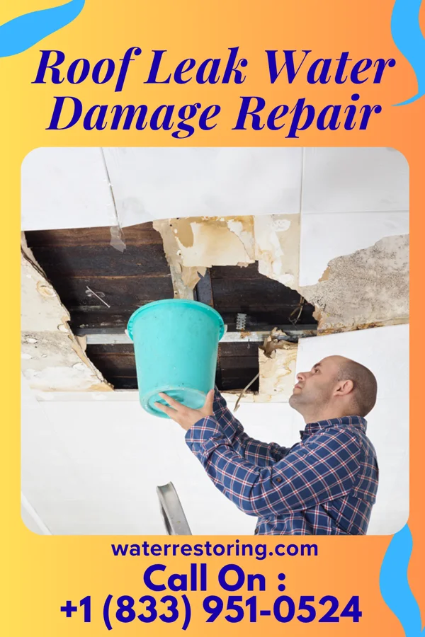 Roof Leak Water Damage Repair in Dutch Neck, NJ