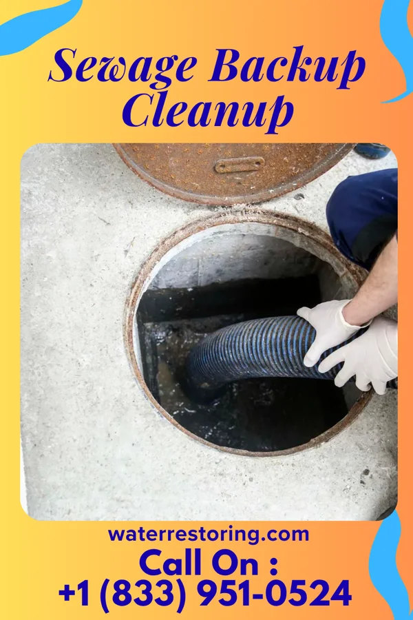 Sewage Backup Cleanup in Dutch Neck, NJ