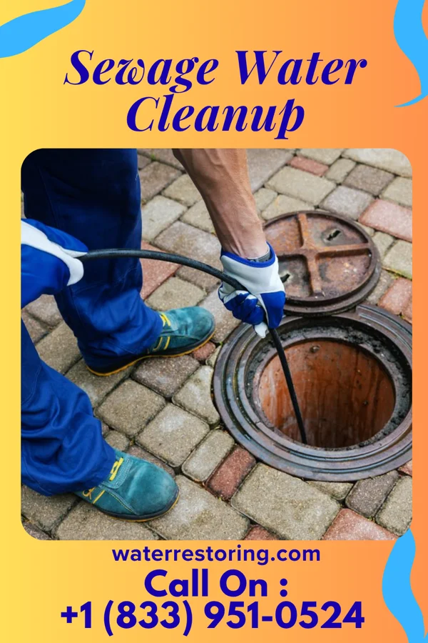 Sewage Water Cleanup in Dutch Neck, NJ